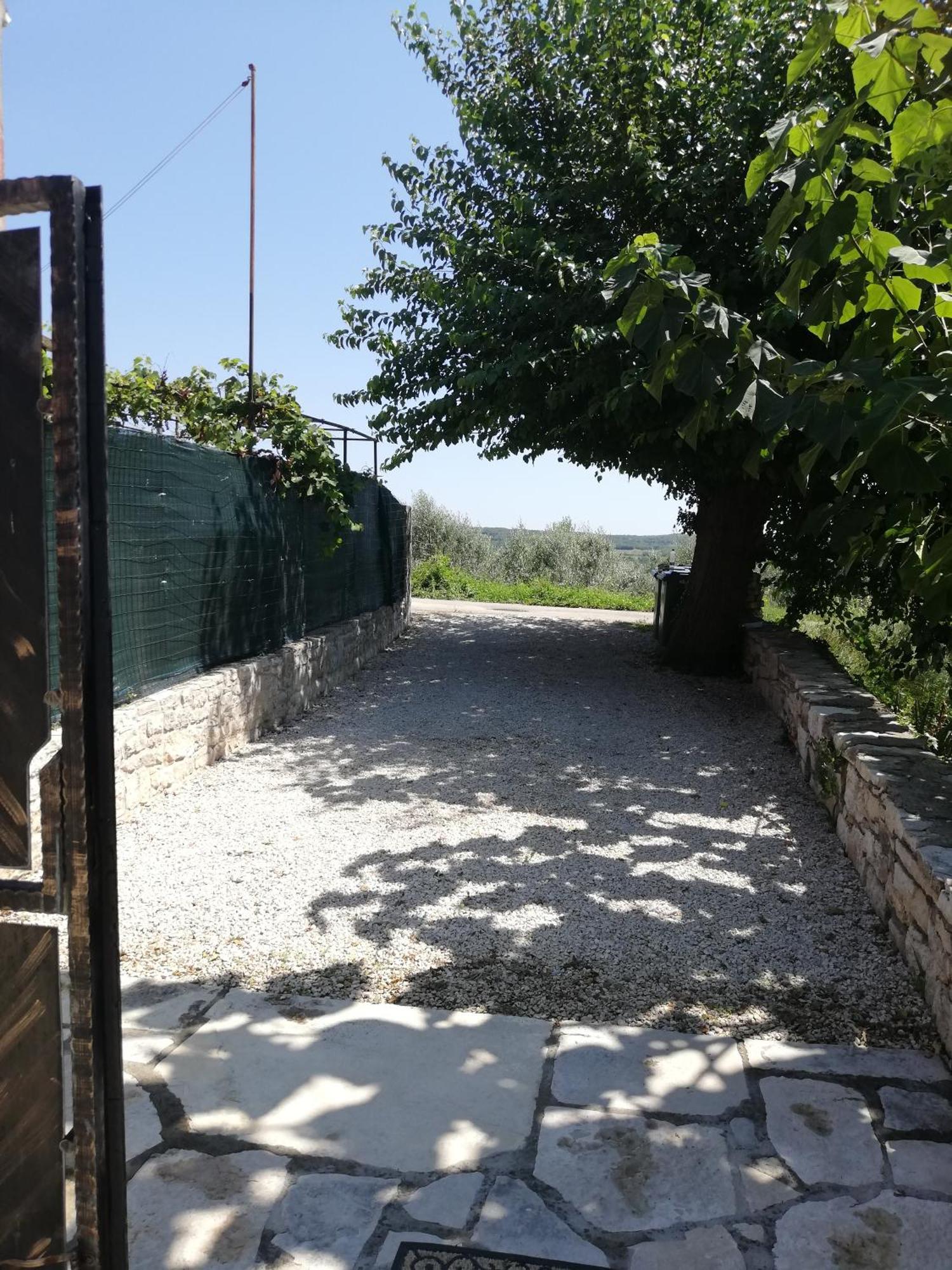 Lory Villa Sveti Lovrec Pazenaticki Ngoại thất bức ảnh